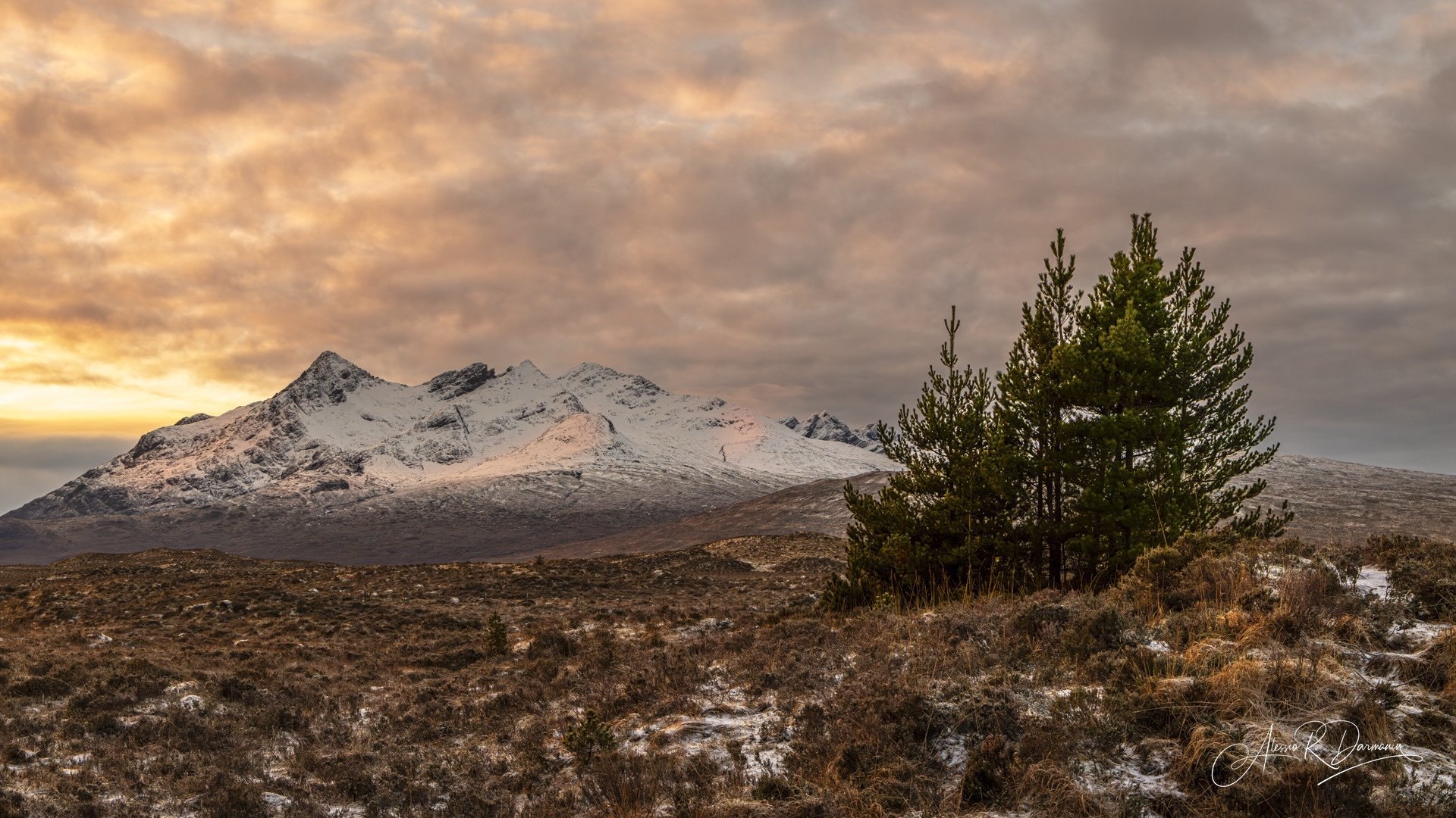 Snow-capped mountains at sunset with a cloudy sky and a tree in the foreground