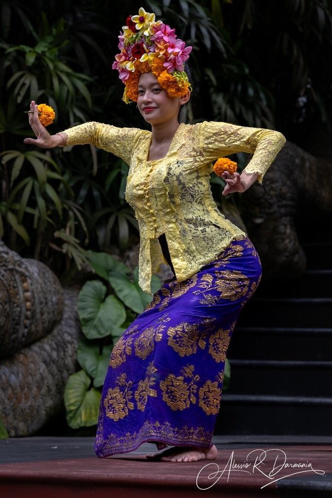 A woman performing a traditional dance outdoors, wearing a yellow lace top, a purple sarong with gold patterns, and a colorful flower headdress, with greenery in the background.